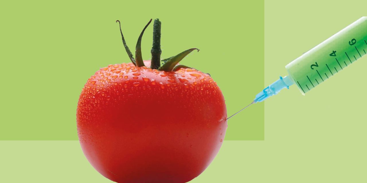 GDO’lu yem ve tartıştıklarımız, tartışmadıklarımız