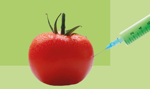 GDO’lu yem ve tartıştıklarımız, tartışmadıklarımız