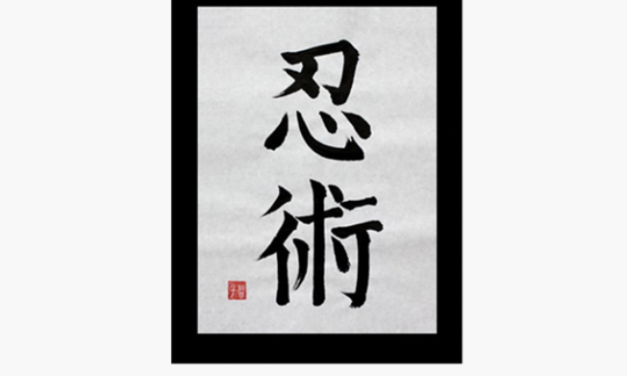 İranlı ninja — cümle içinde kullanınız!