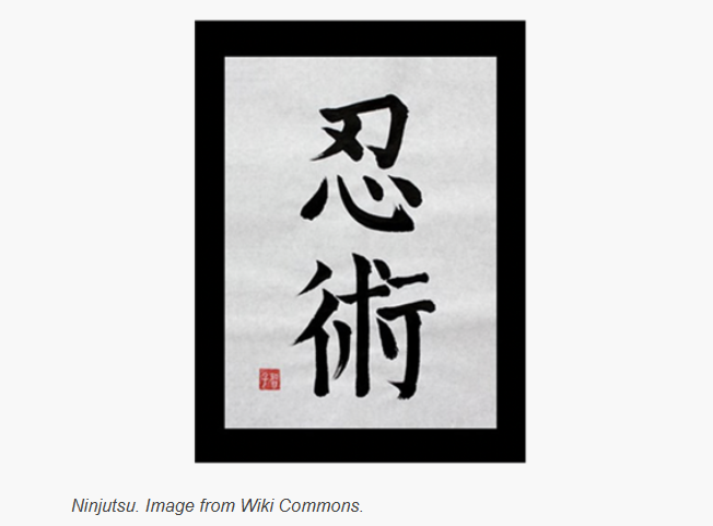 İranlı ninja — cümle içinde kullanınız!