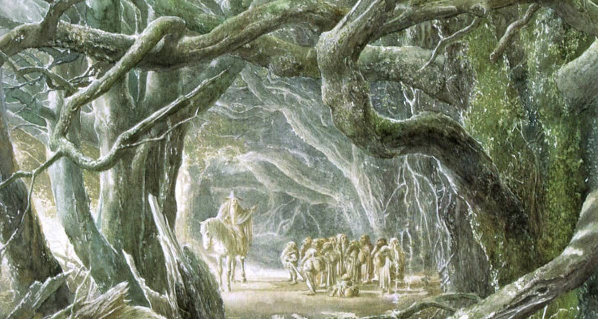 Ortadünya ve sakinleri — okuduklarımızı görselleştirmek