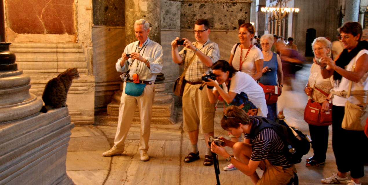 Haftanın Eğlencesi: Ayasofya’nın –ve Türkiye’nin– en meşhur kedisi